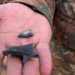 Անուշ Պողոսյանի հրապարակումը․ Պետական կառավարման խնդիրներ, ոչ թե վիճակագրական սխալ